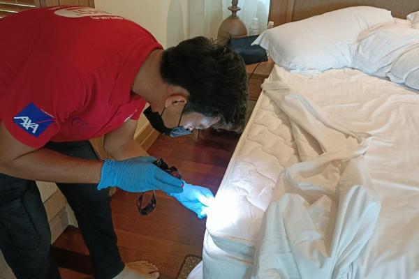 General Pest Control